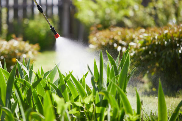 24/7 Emergency Wasp Removal experts in Williston, FL