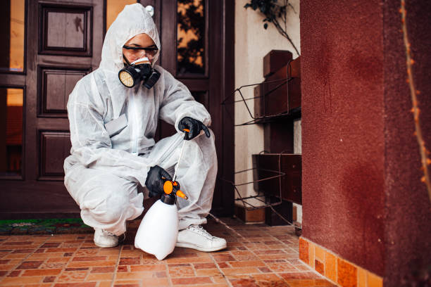 Reliable Wasp Removal contractor in Williston, FL by Show Me Pest Control